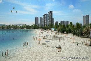 惠州大亚湾最新爆料,揭秘神秘项目与未来发展规划